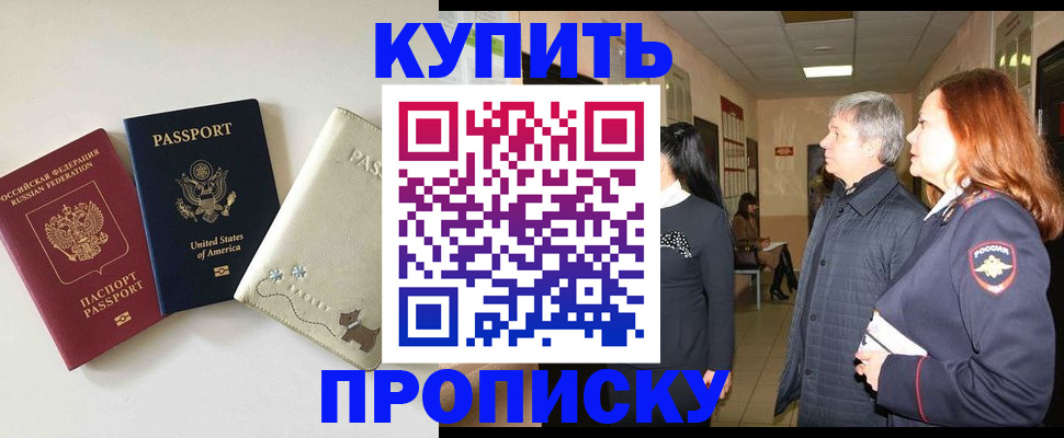 где прописаться в Мариинском Посаде